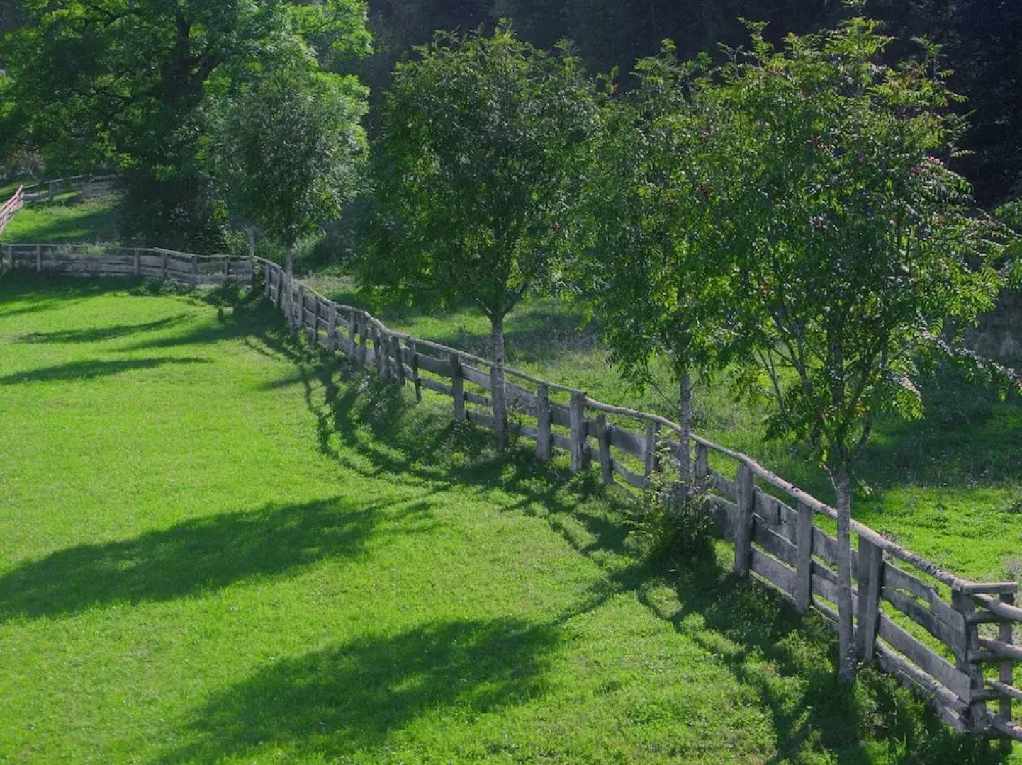 Lush Holiday Home in Hüttau near Ski Area