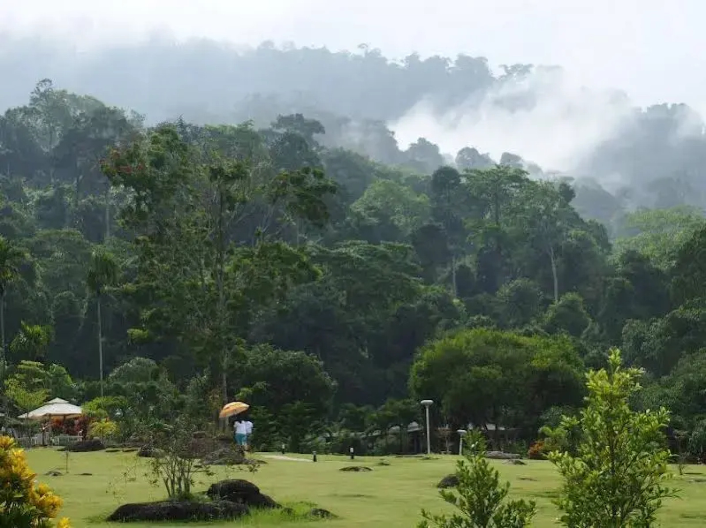 The Natural Garden - Khao Soi Dao -