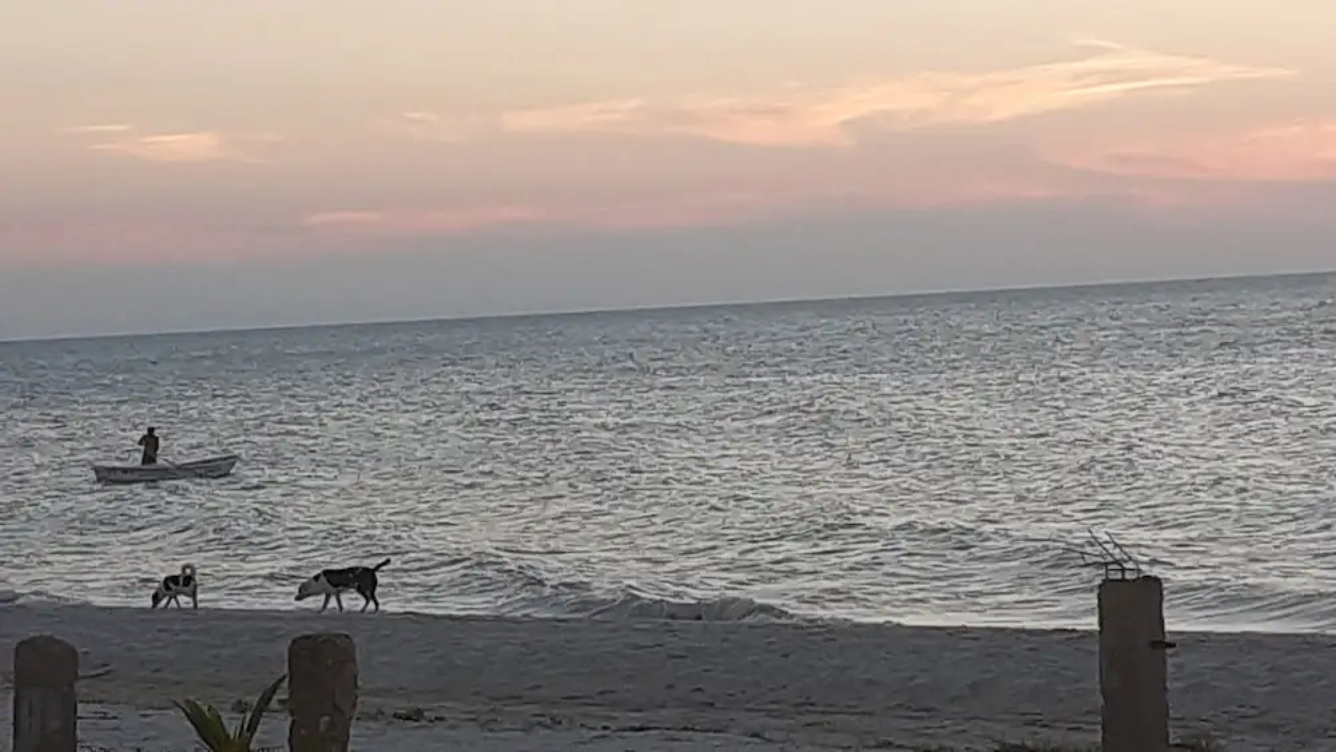 Flamingo Guest House Celestún