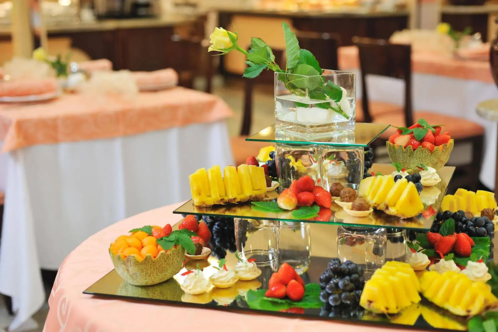 Hotel Krka - Terme Krka