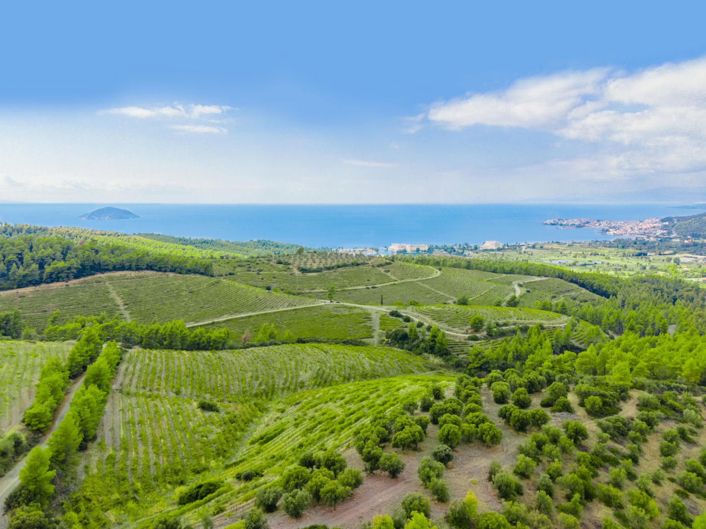 Porto Carras Meliton Hotel