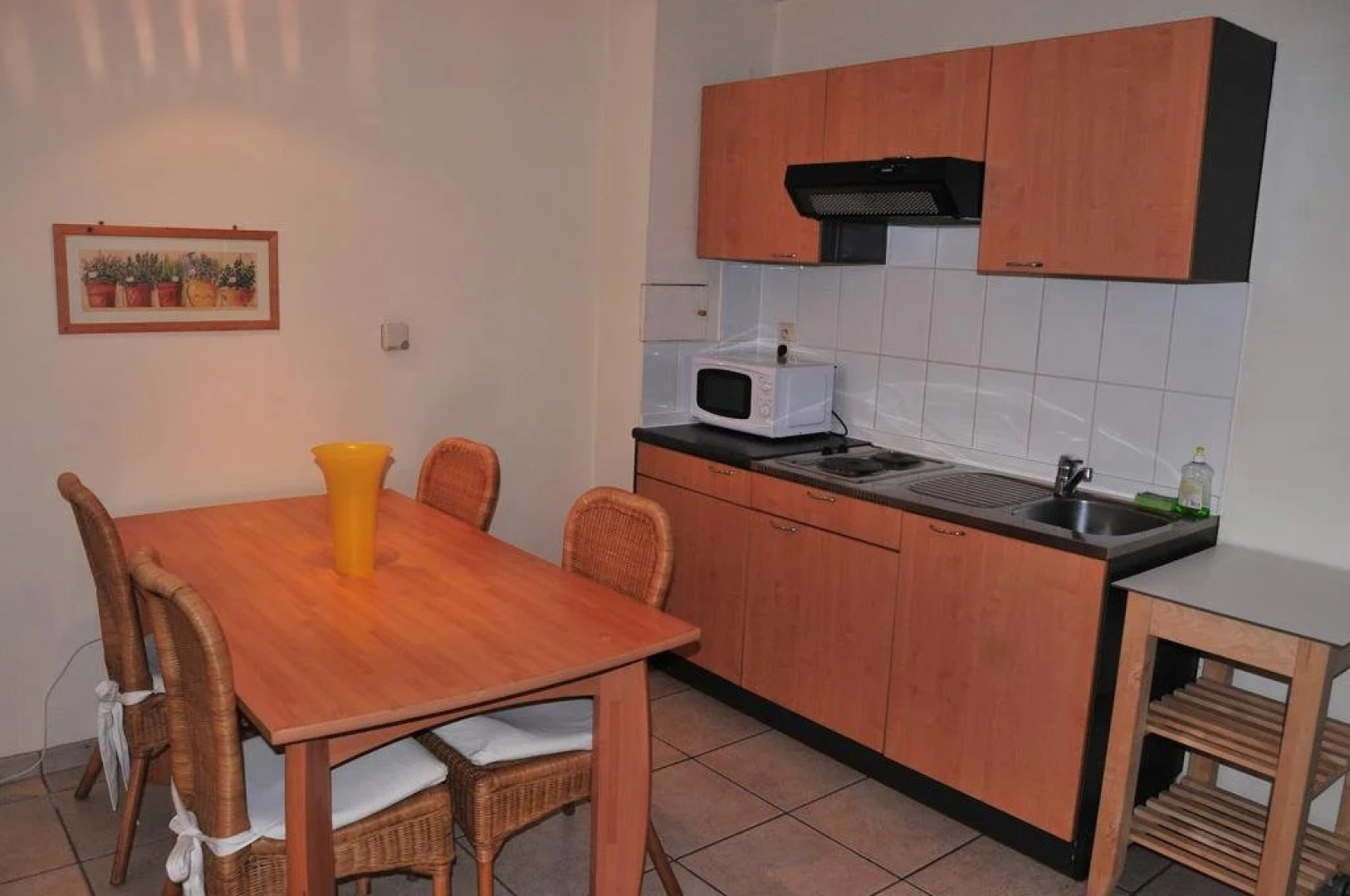 Aparthotel Esplanada