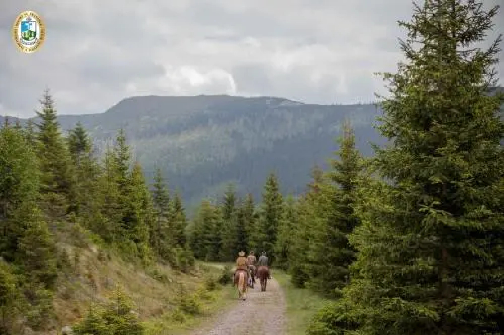 Hotel Erlebachova bouda