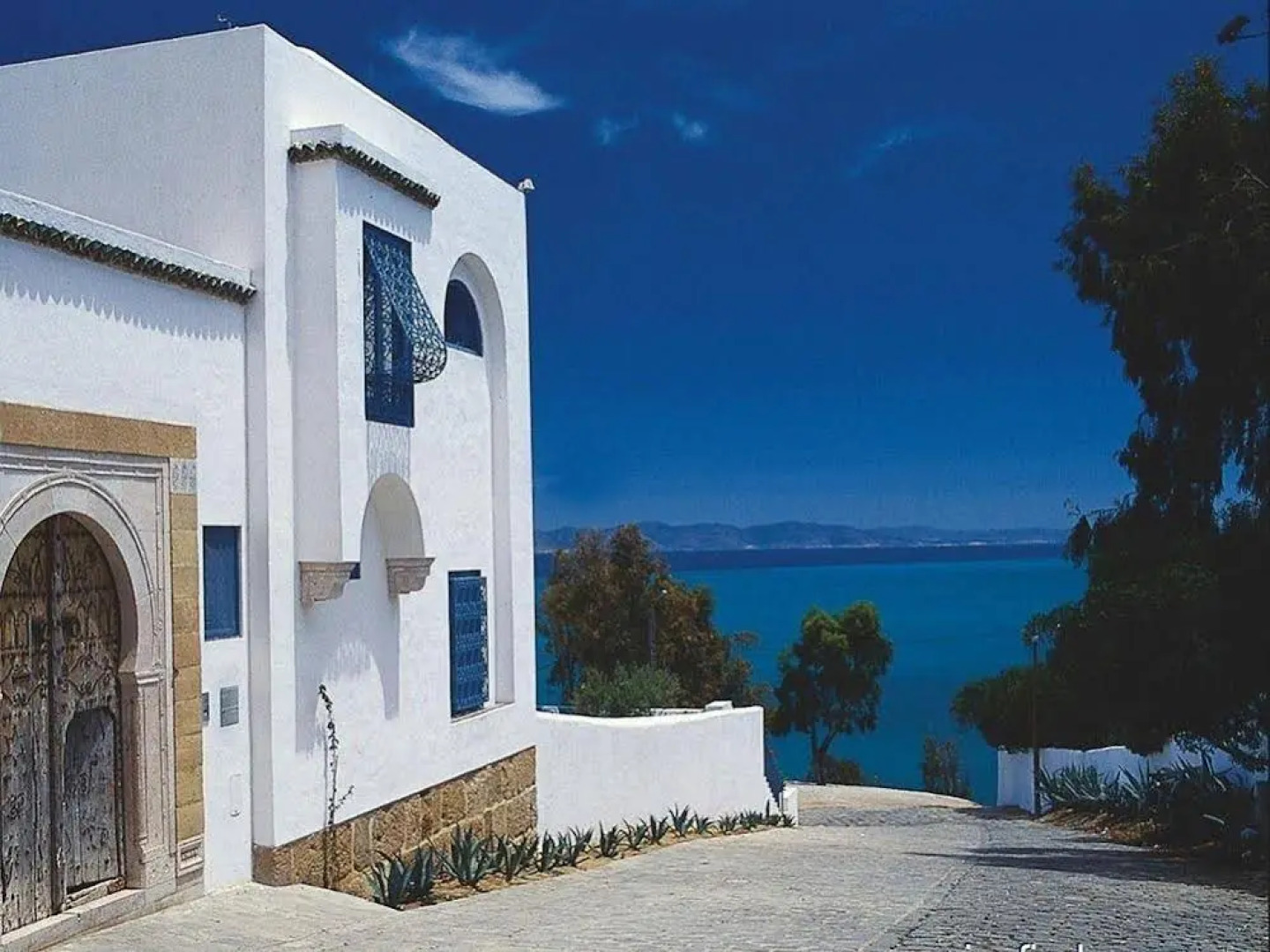 Le Nid De Sidi Bou Said