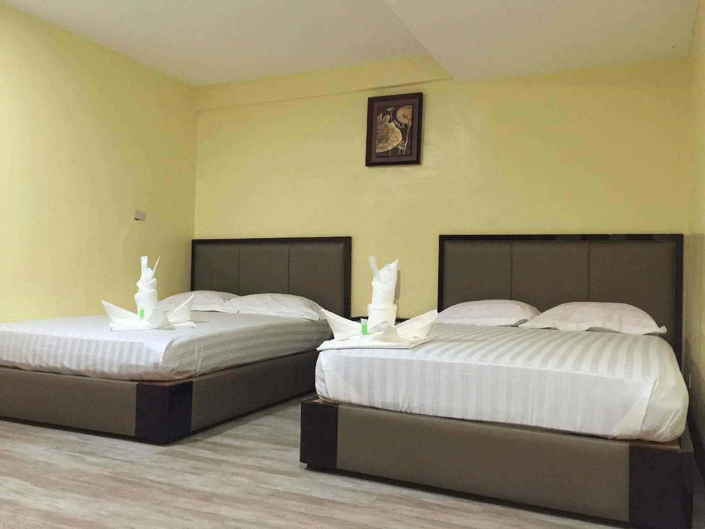 Meaco Royal Hotel - Plaridel