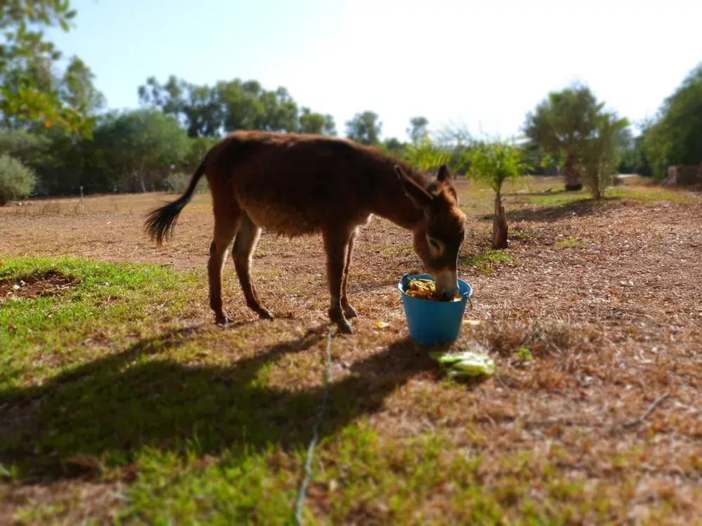 Riad Les Deux Mondes
