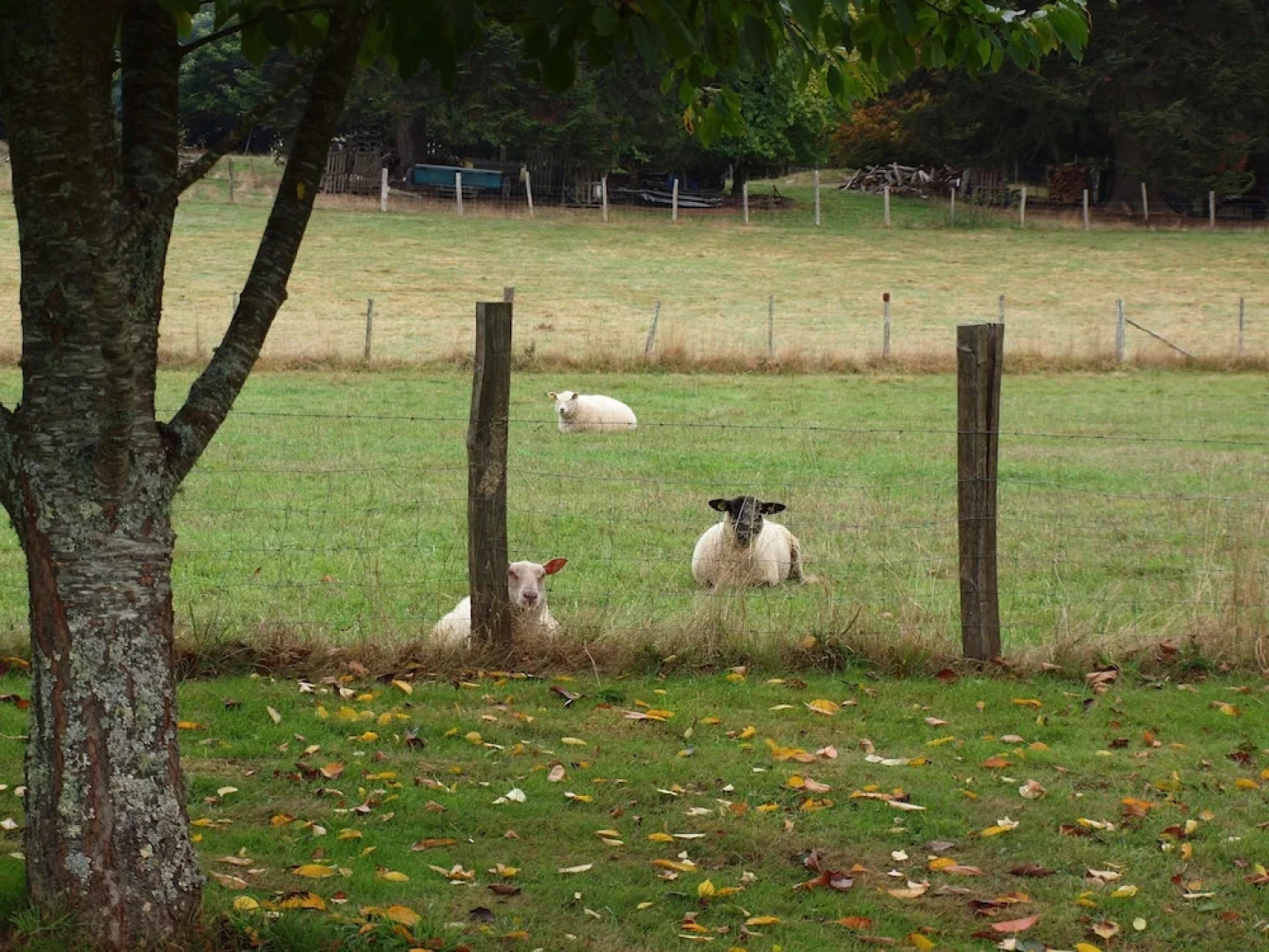 La Vieille Porcherie