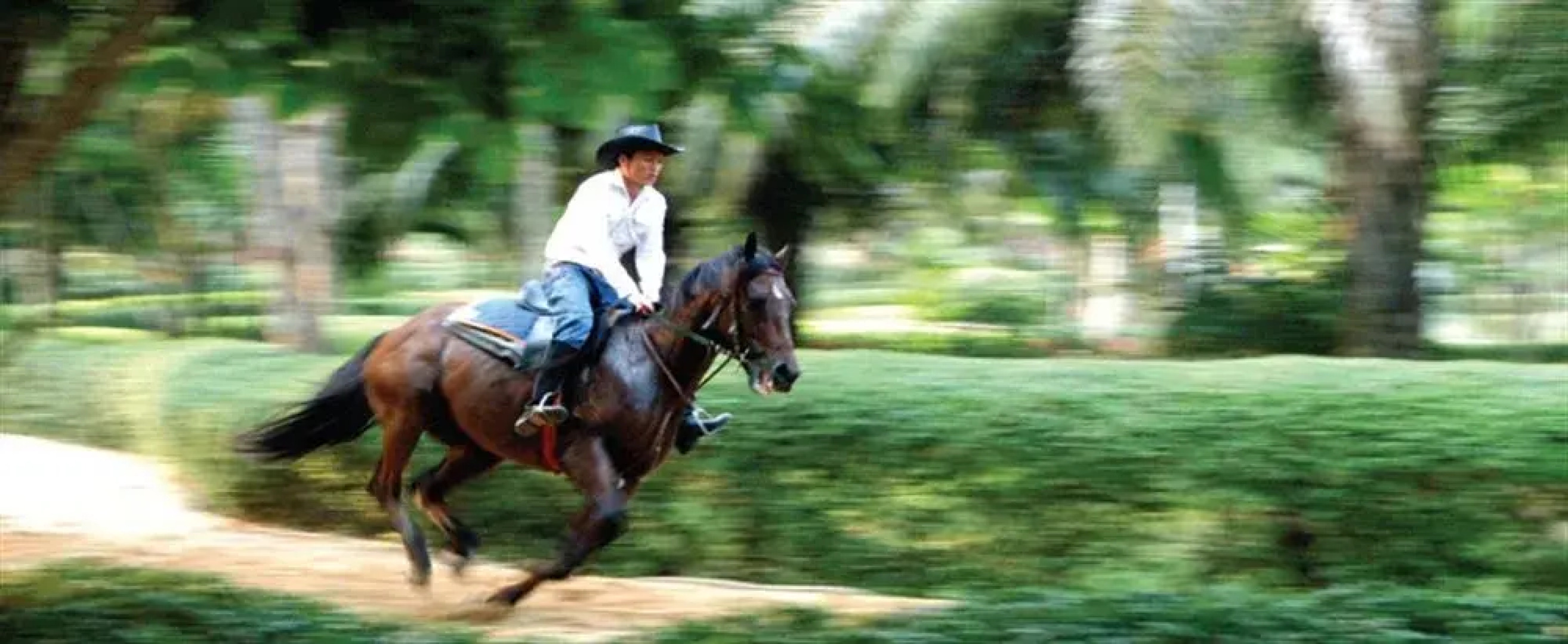 Iyara Lake Hotel & Resort