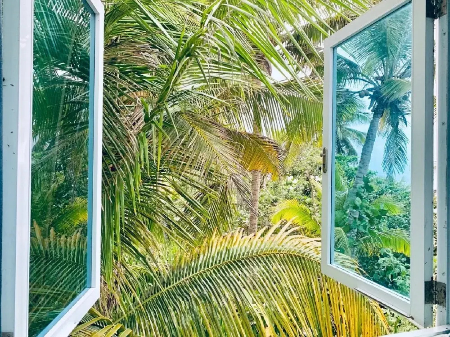 Ventana al Atlantico at Arecibo 681 Ocean Drive