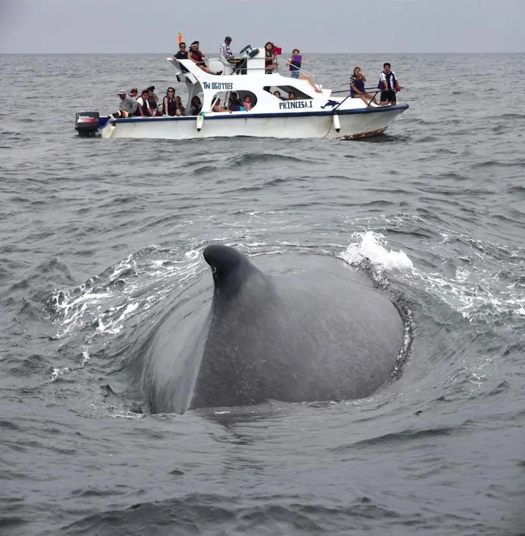 Saint Patricks Lodge