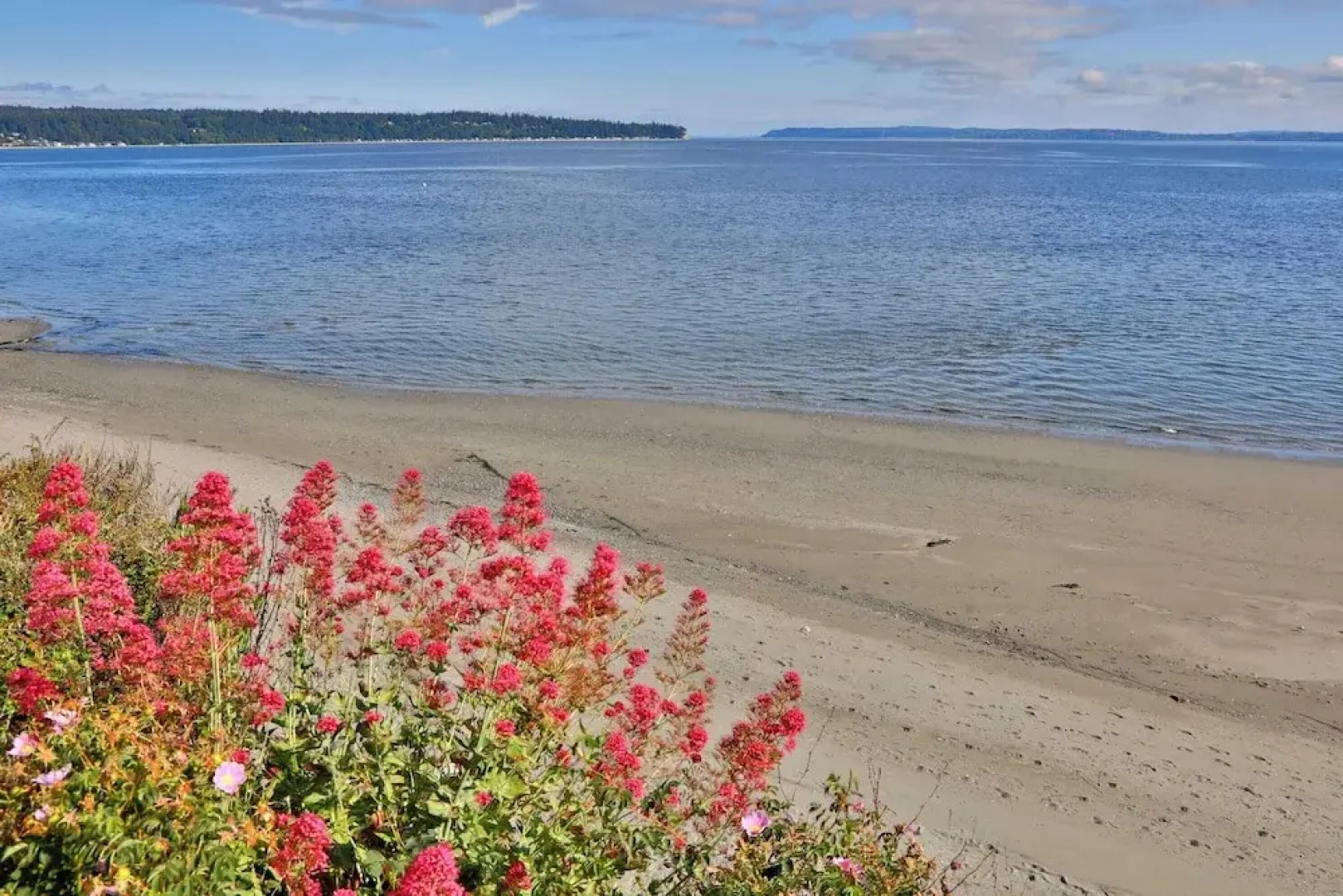 Beachfront Condo - Mutiny Bay by Avantstay Views