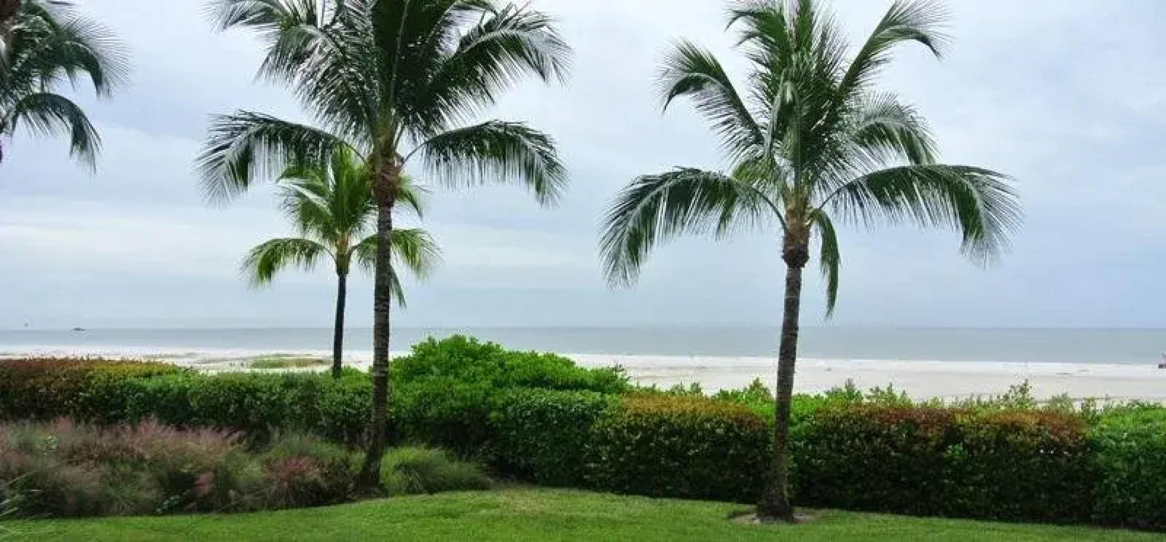 The Original Beachcomber Daily