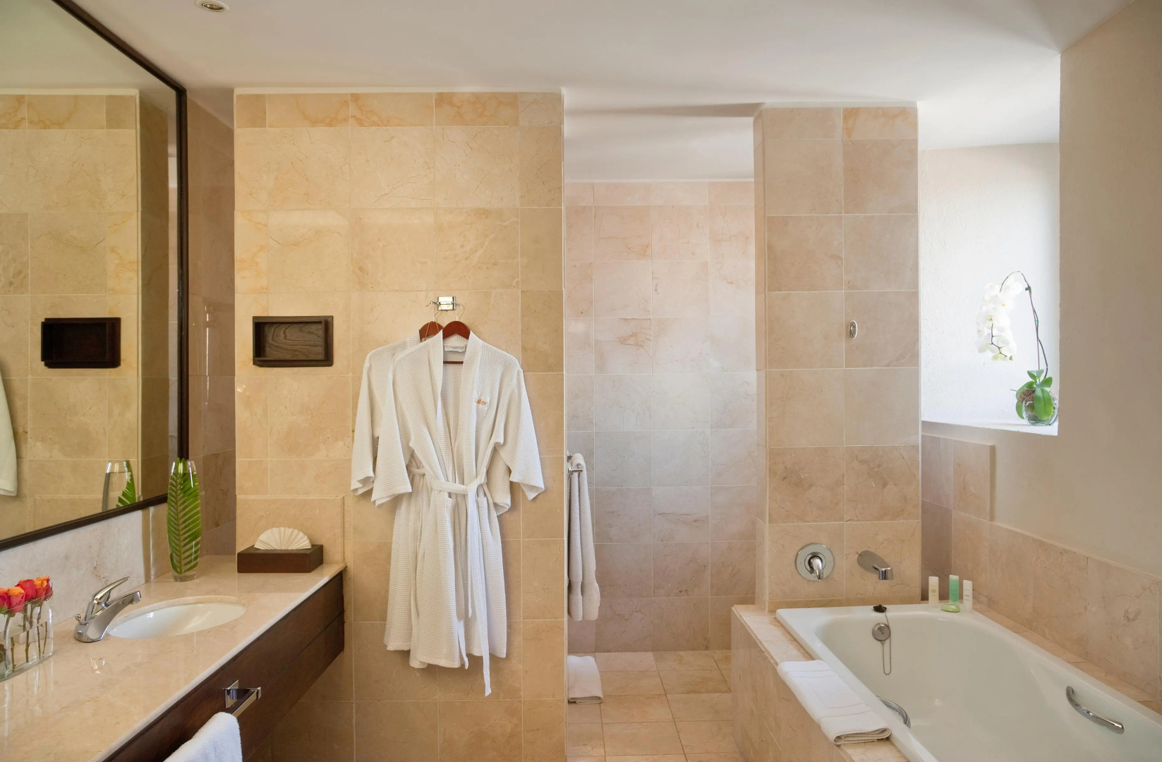 Hodelpa Nicolas de Ovando