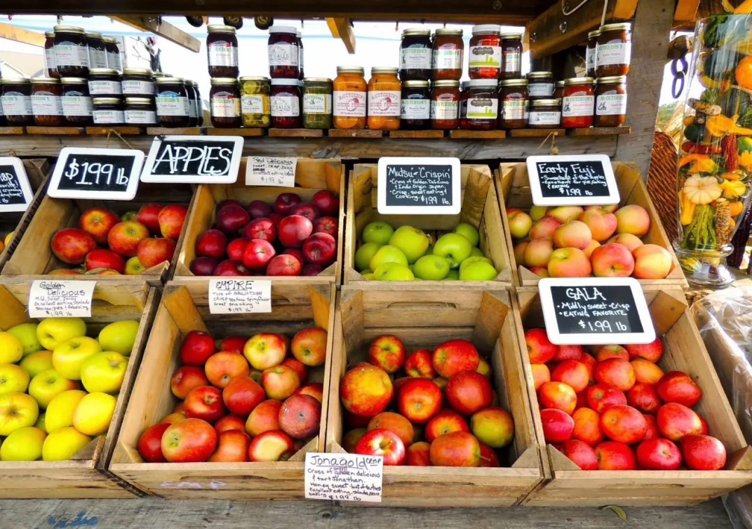 Burnside Organic Farm