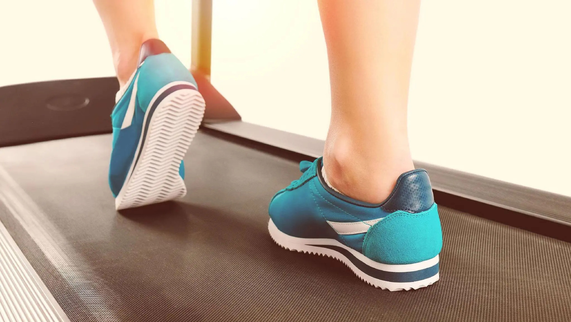 Magnuson Hotel Williamston