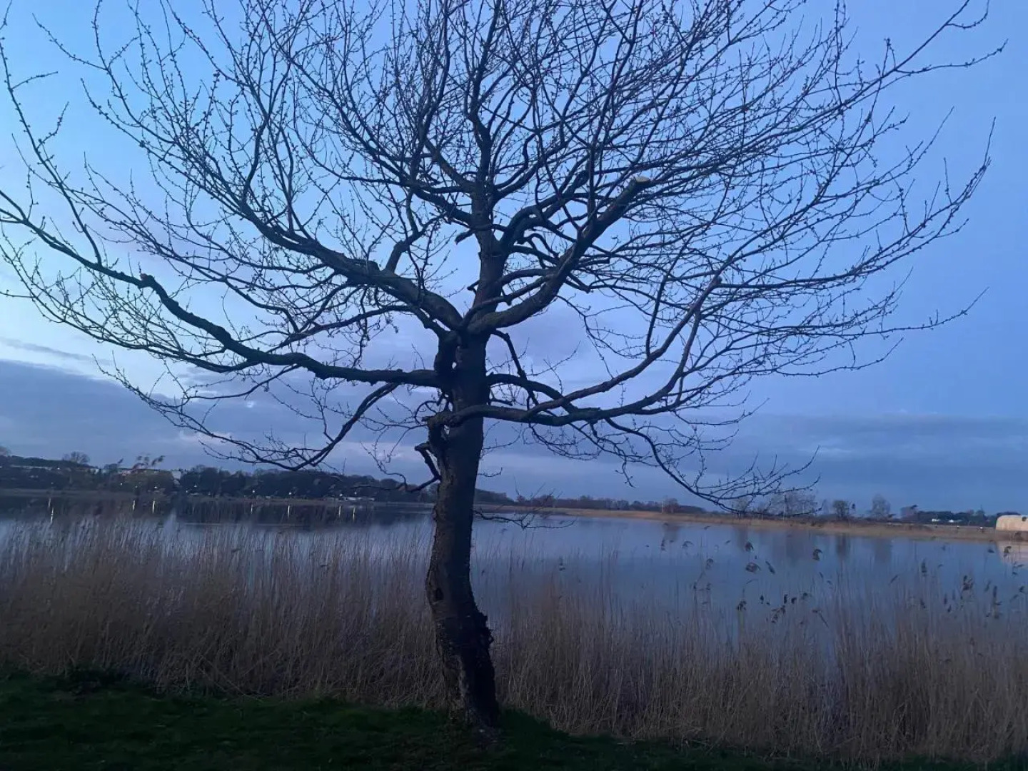 UsedomTor 1720 FeWo II