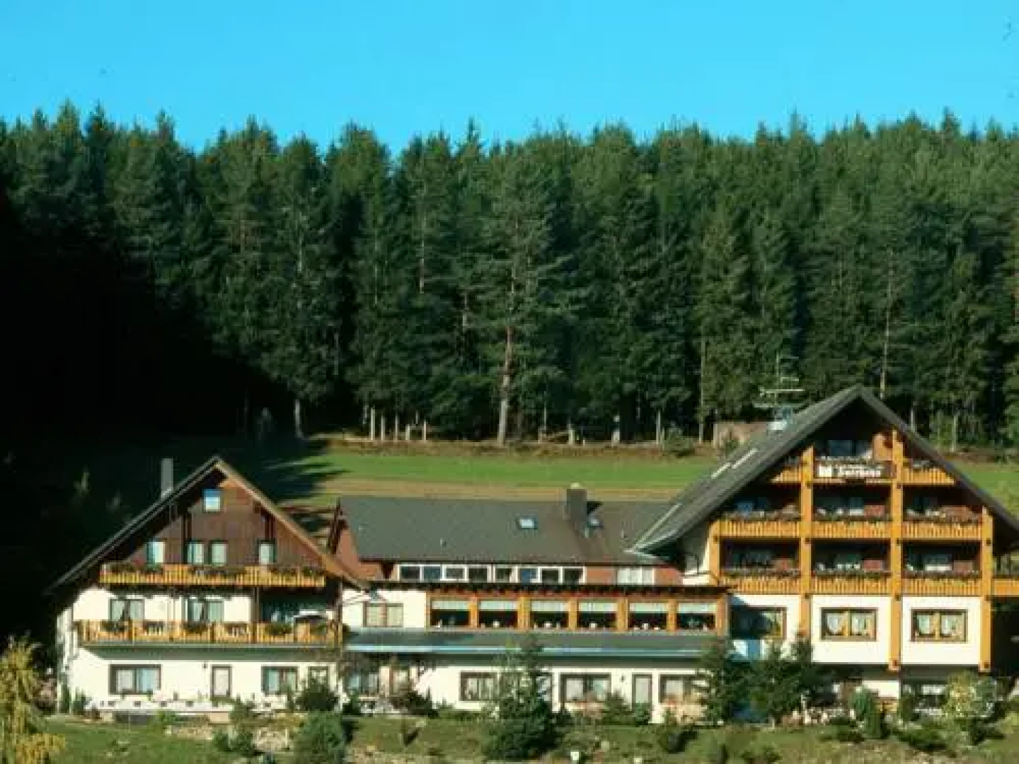 Waldhotel Auerhahn Bed & Breakfast