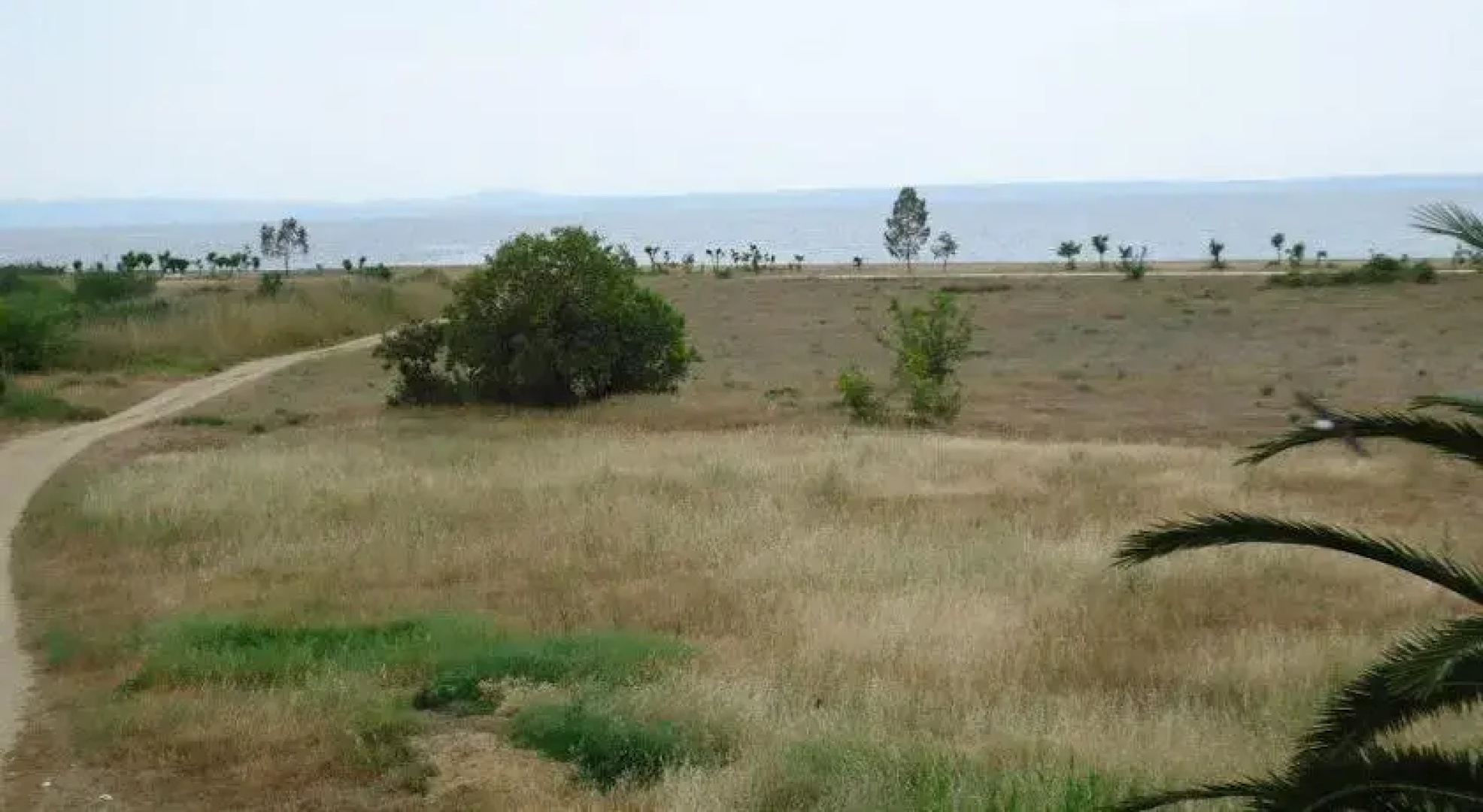 Giota House
