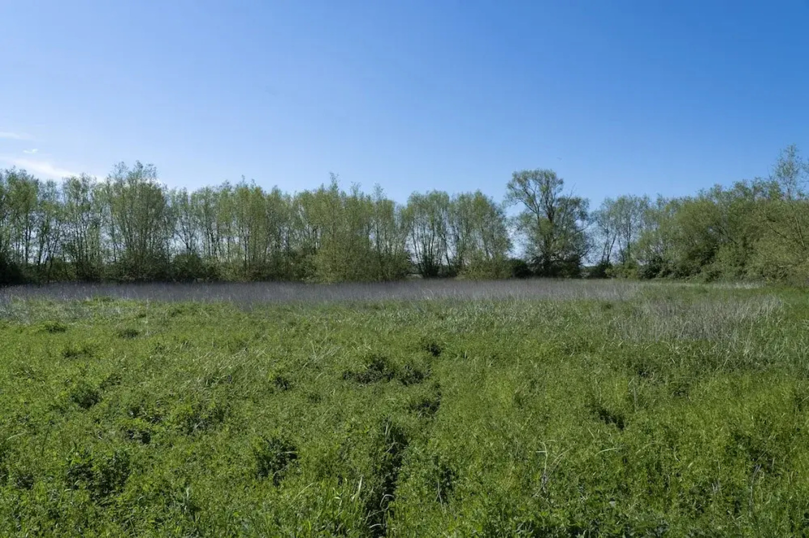 Spacious Open-Plan Home in Oxfordshire