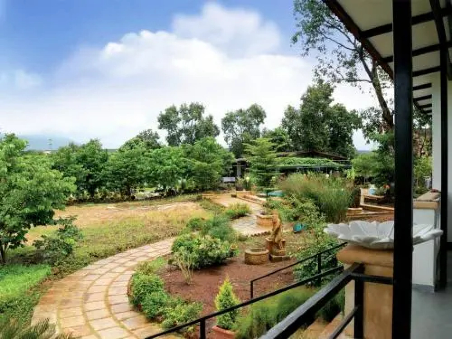 Tooth Mountain Farms