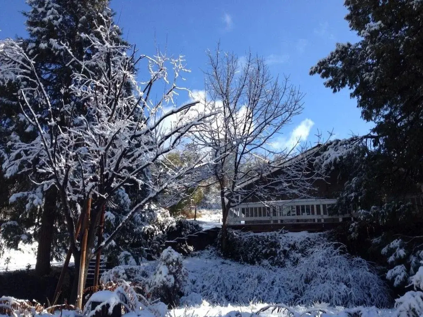 The Fishermens Oasis