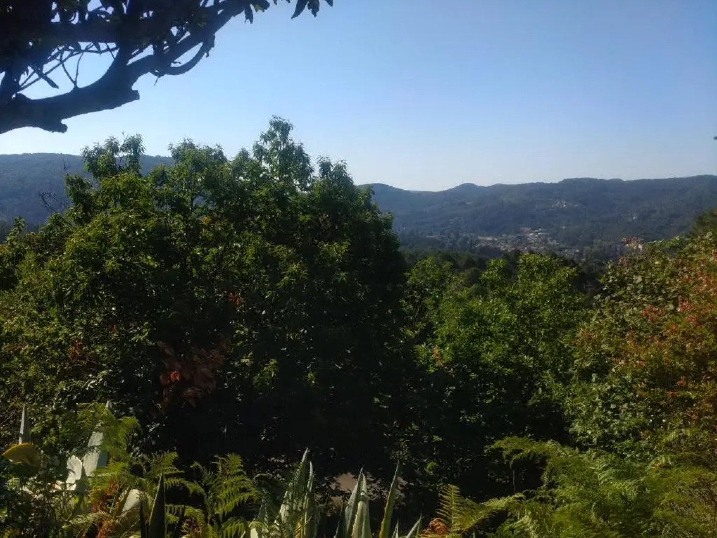 Les Jardins d'Arbousse