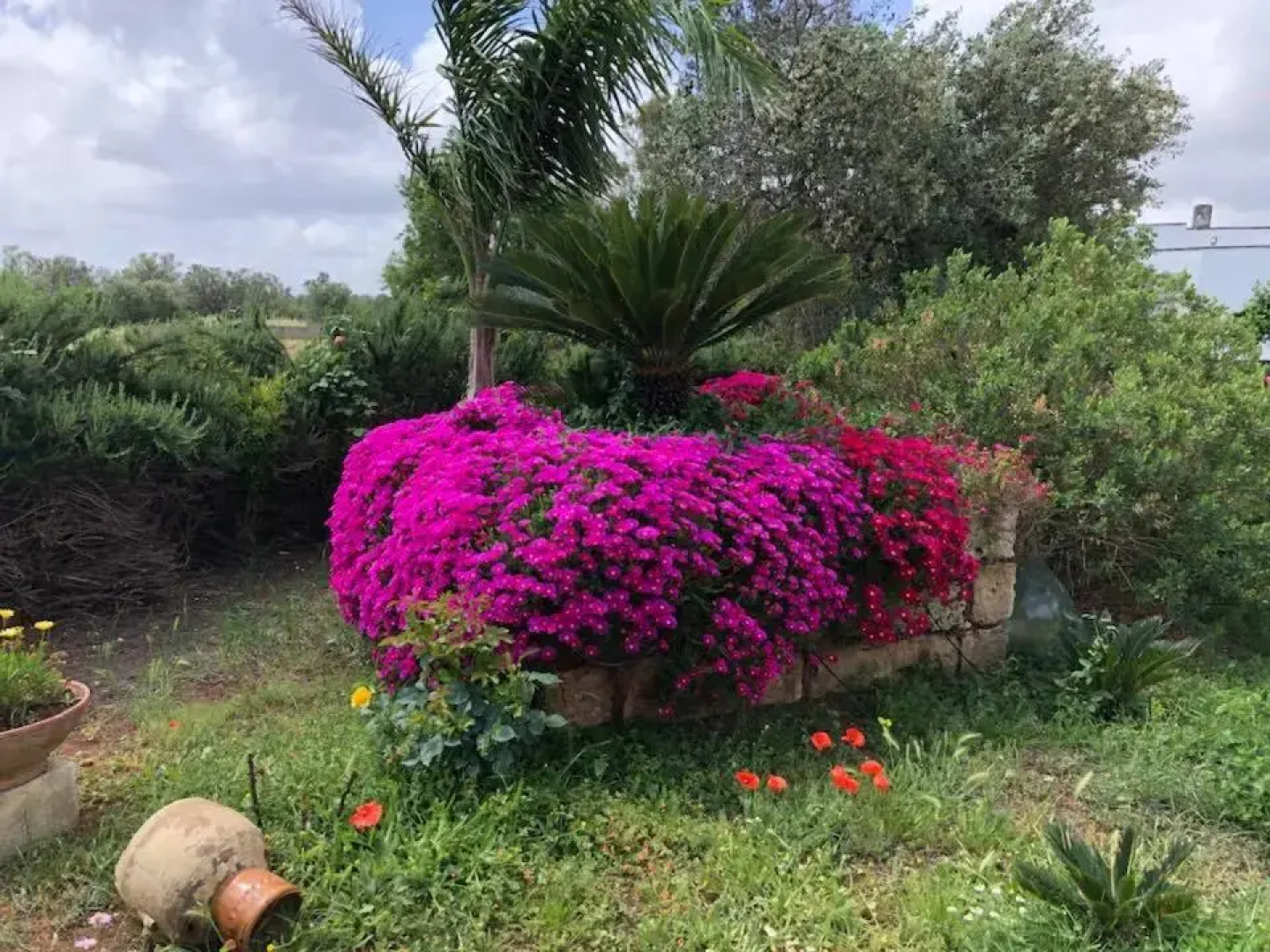 Curti Russi