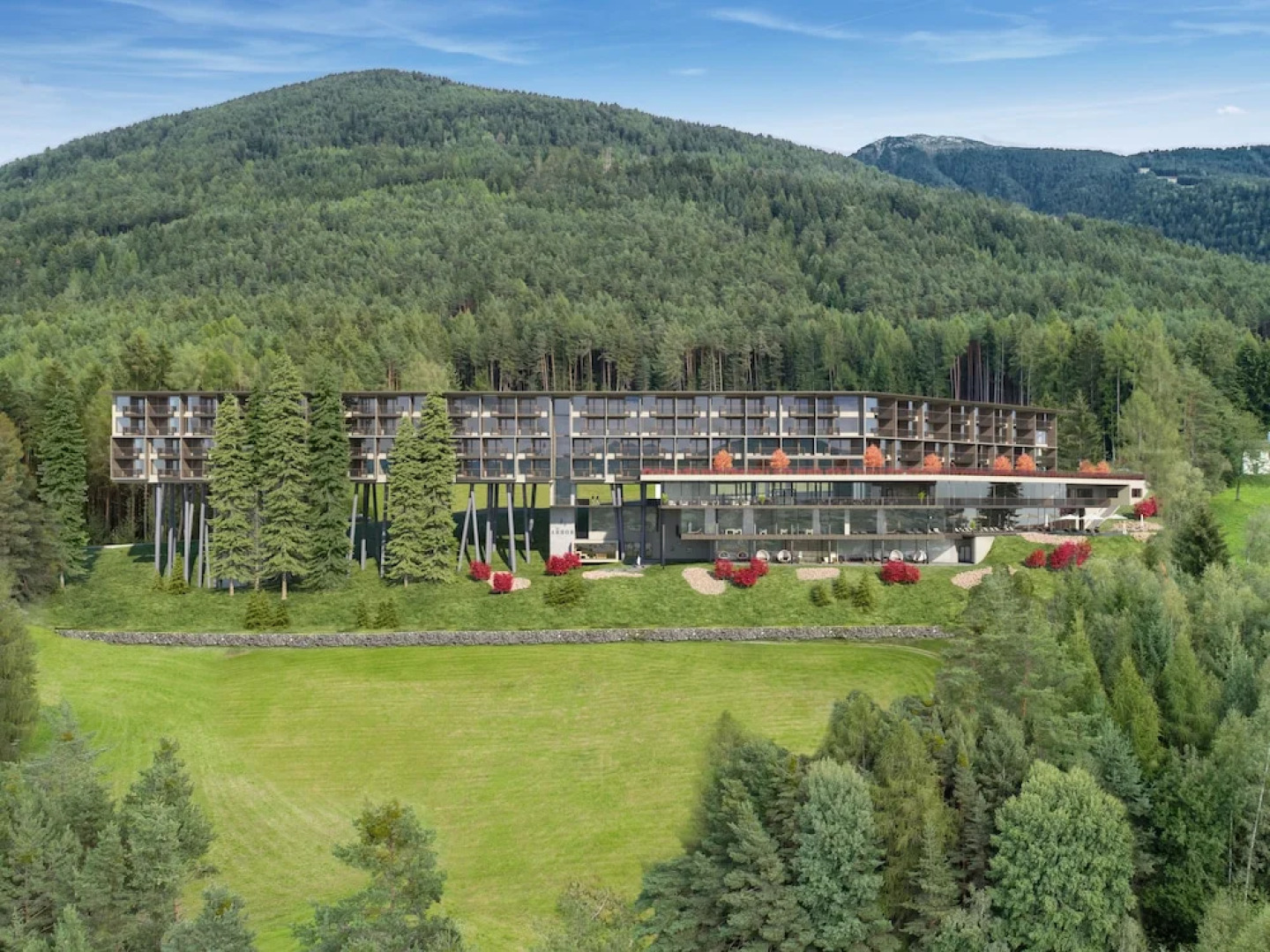 My Arbor - Adults Only