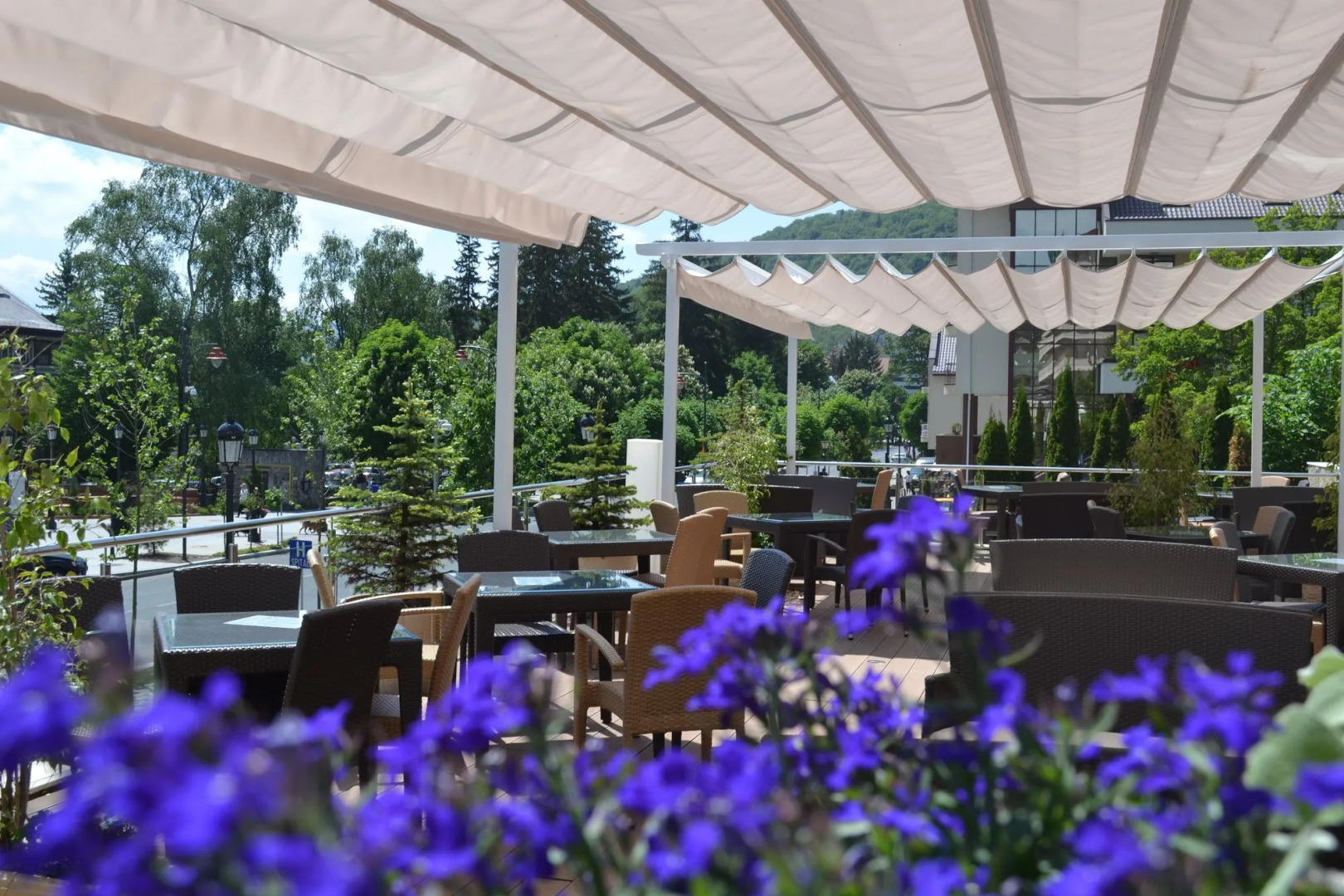 Alexandrion Experience