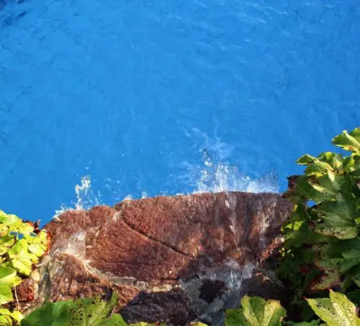 Gartenresidence Stephanie