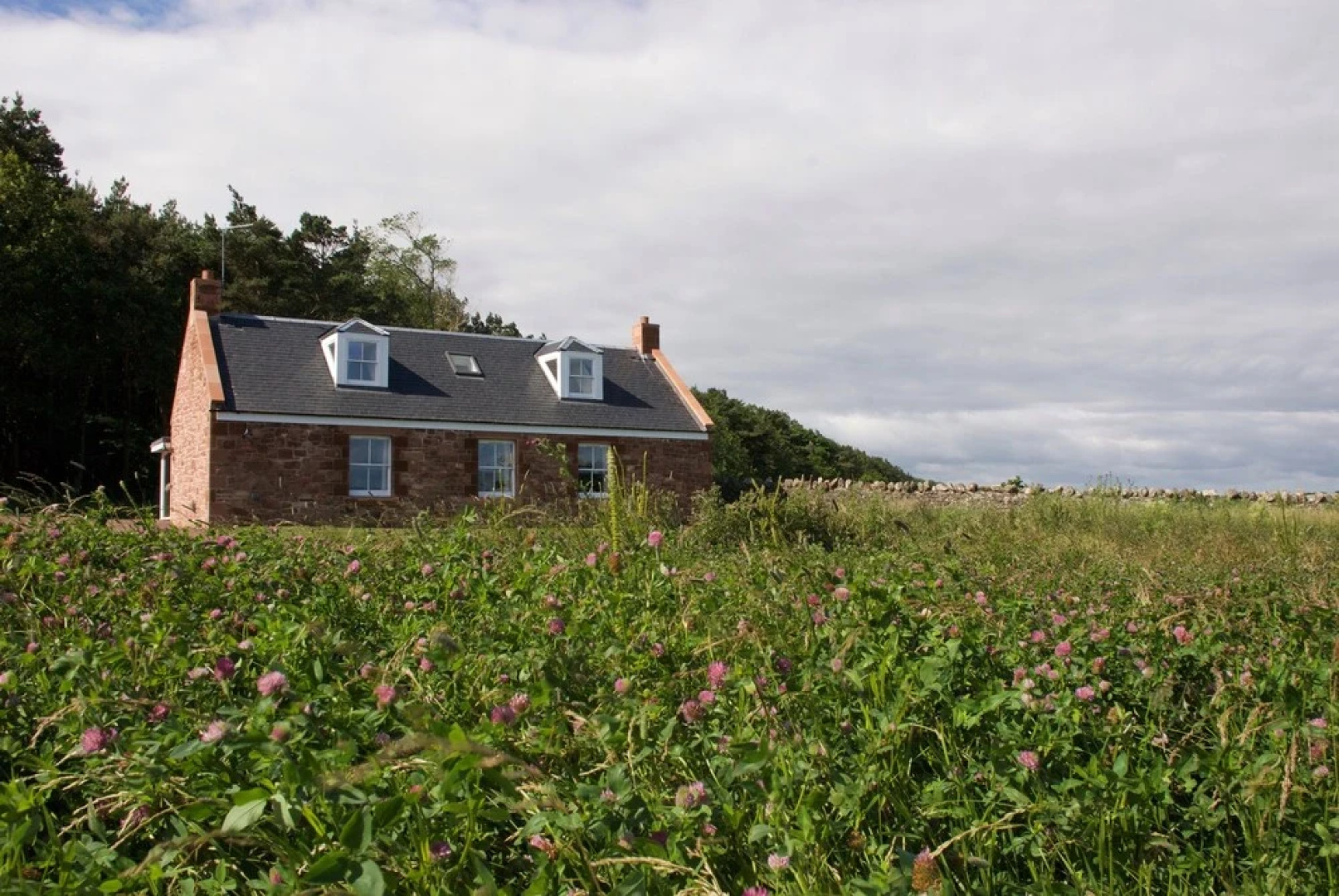 The Cottage