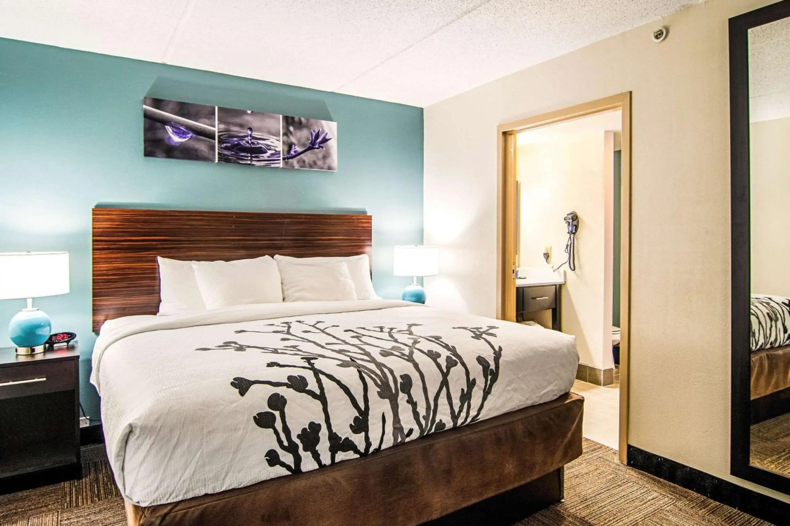 Sleep Inn & Suites Rehoboth Beach