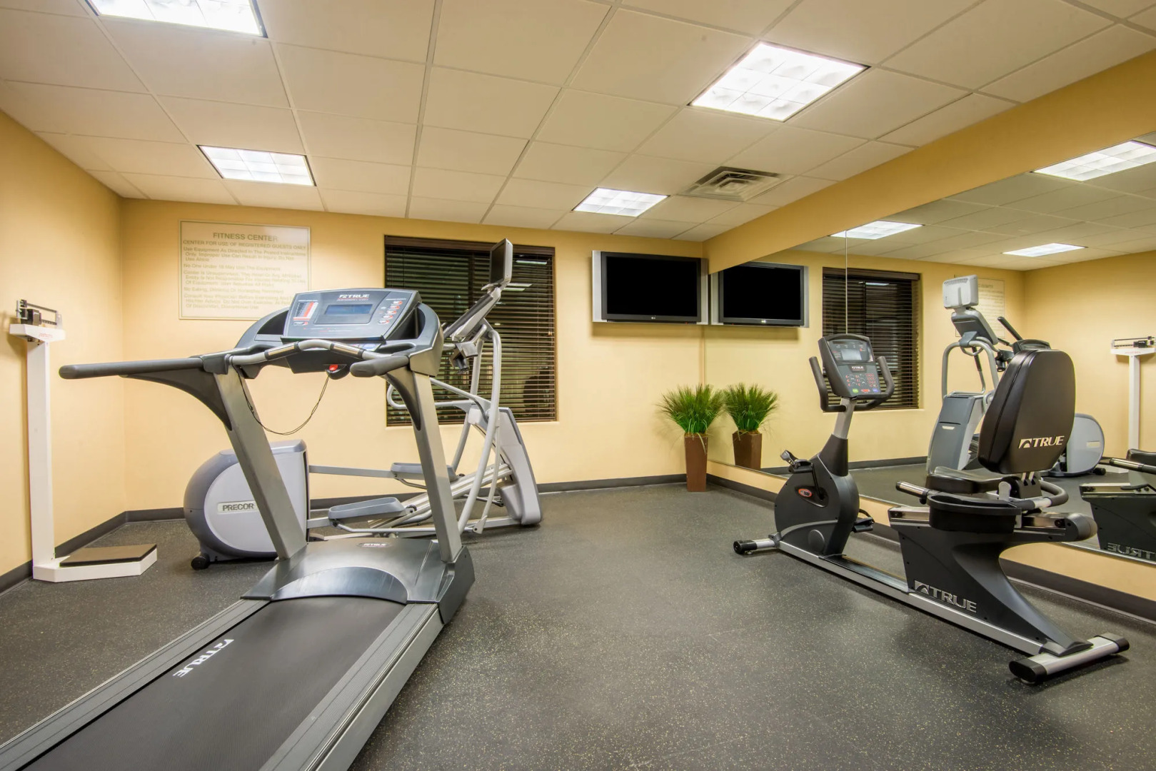 Holiday Inn Express & Suites Phoenix - Glendale Sports Dist by IHG