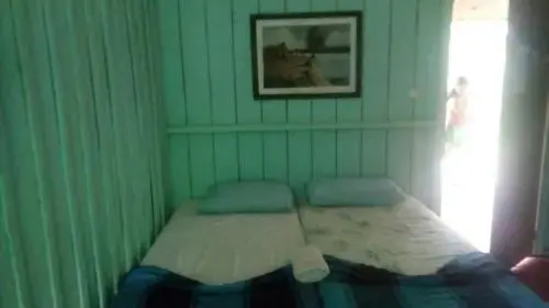 Pousada de Selva Jacaré