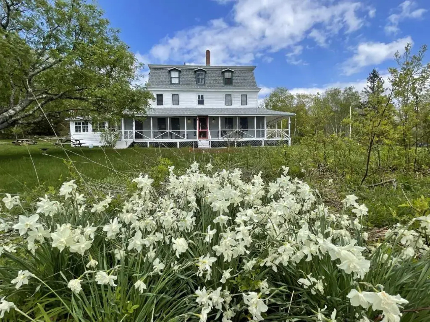 Oakland House Cottages by The Side of The Sea