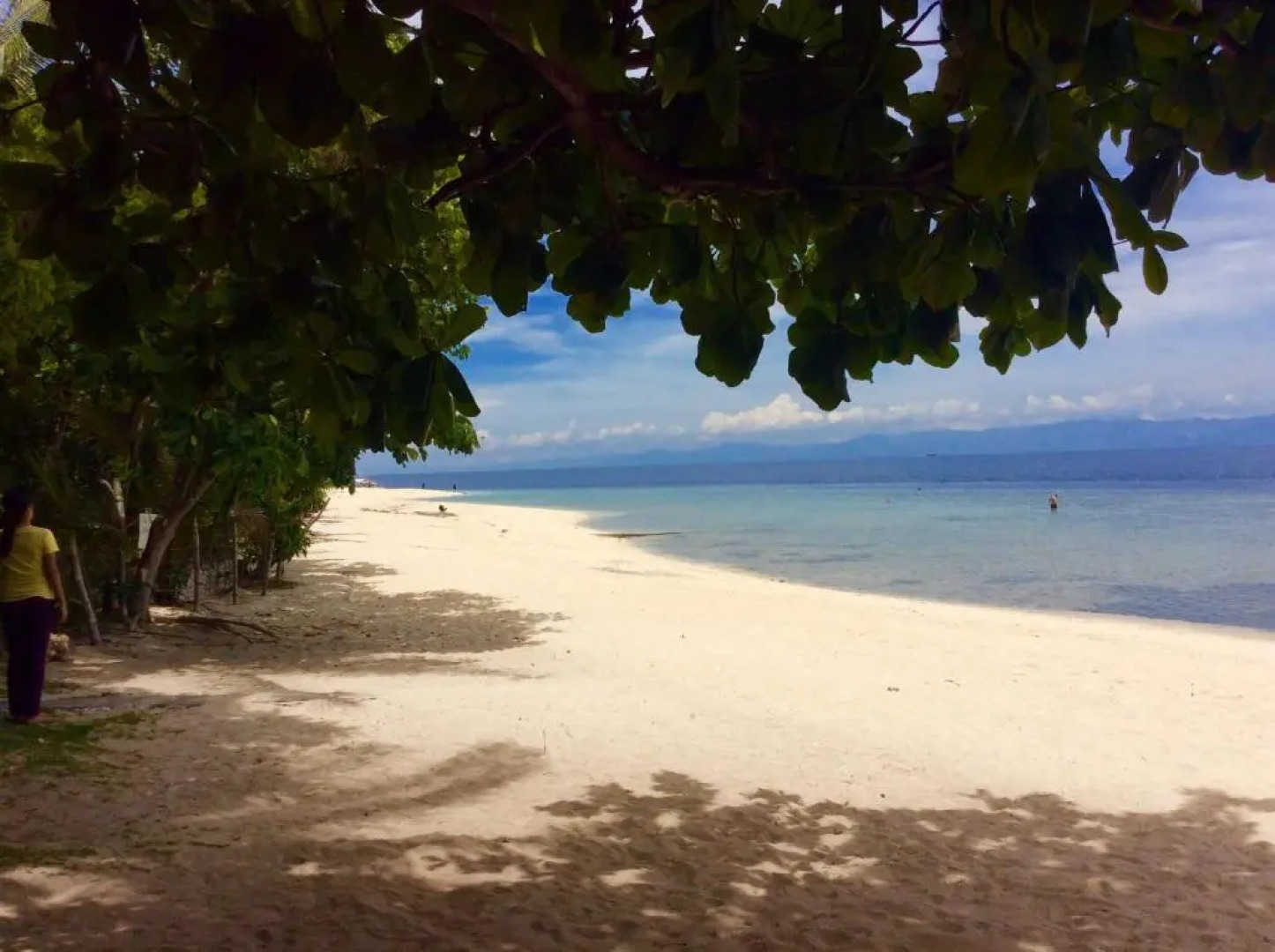 Ravenala Beach Bungalows