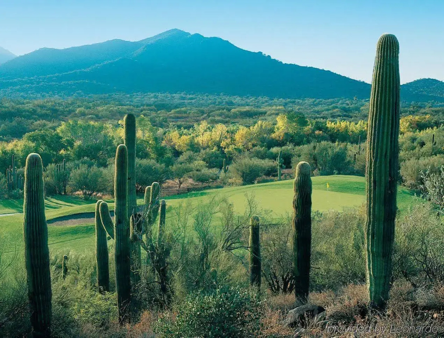 Hilton Vacation Club Rancho Manana Phoenix/Cave Creek