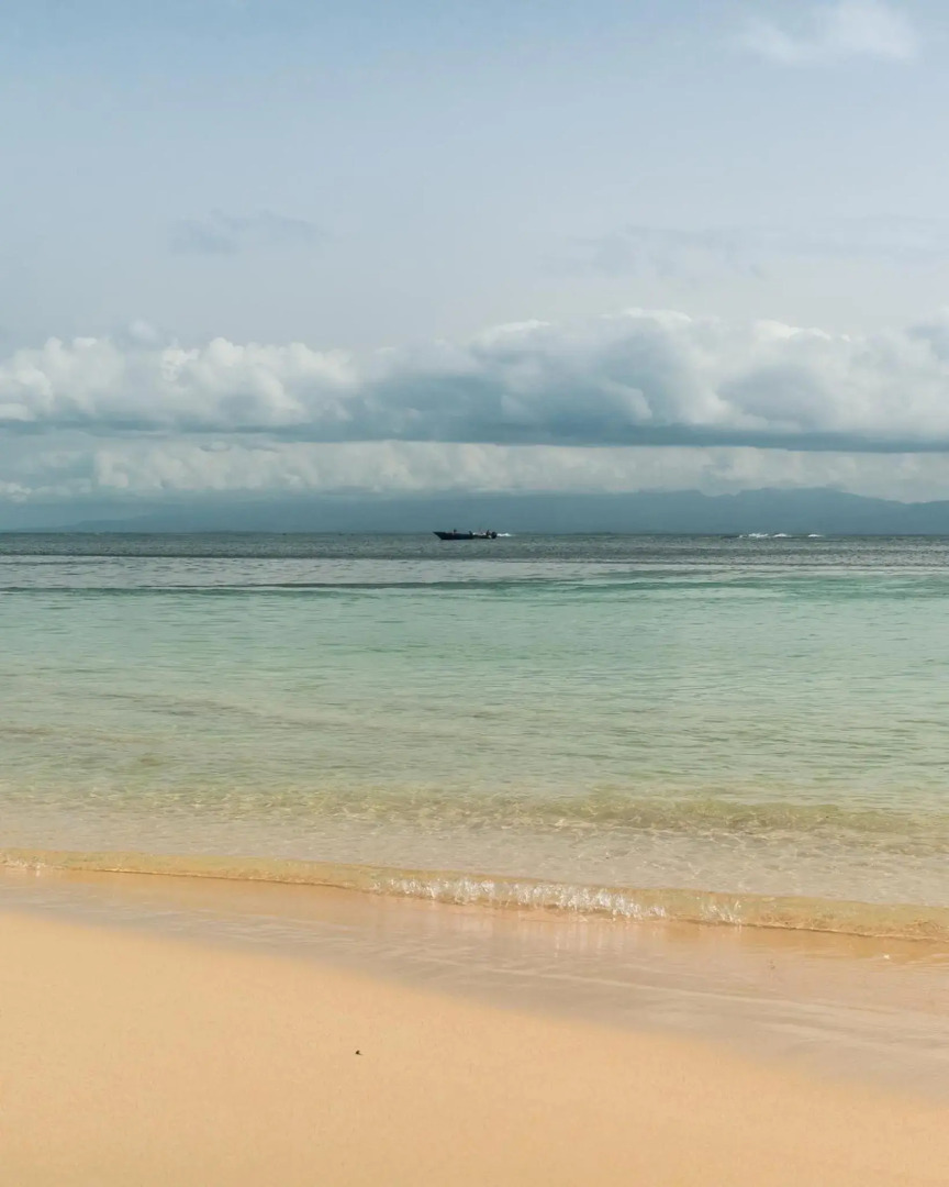 T2 Jacuzzis et piscine au centre ville de Port-Louis
