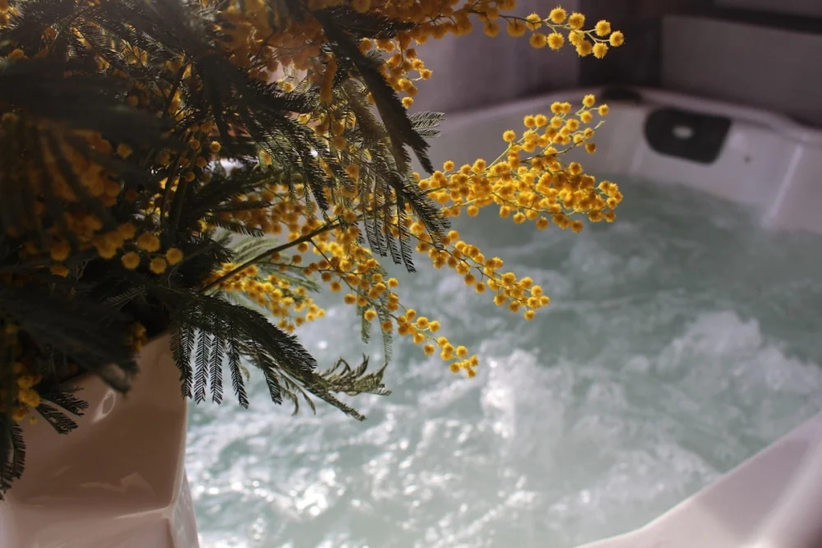 LES PRUNELLES Chambres d'hôtes & Spa