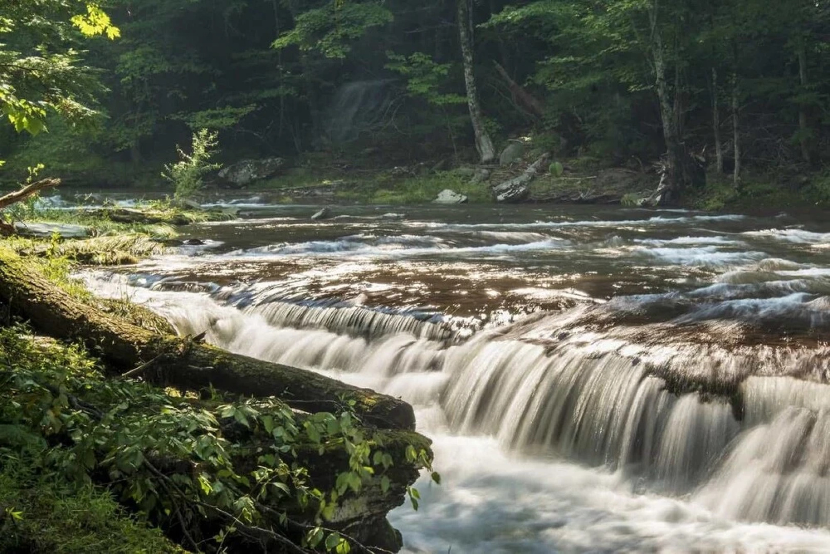 Tentrr - Purling Waters at Tumblin' Falls - Campsite