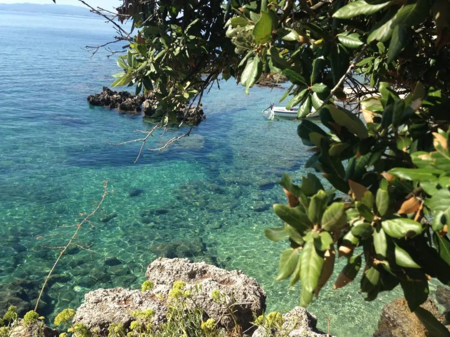 Holiday Home In Mimice