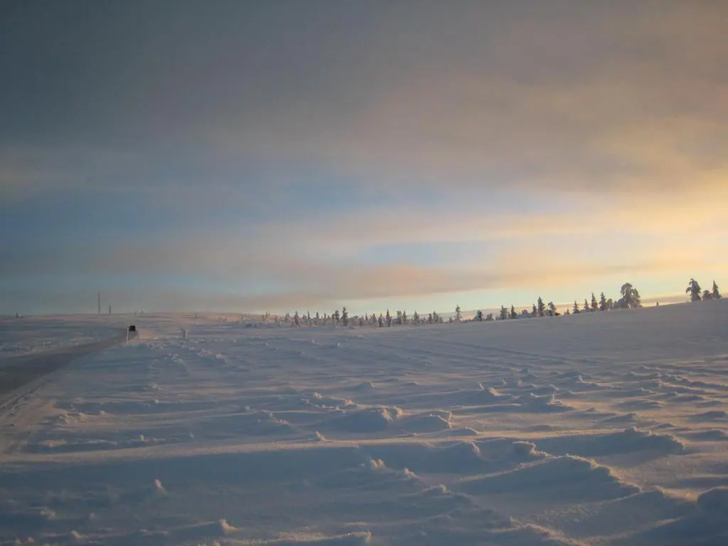 Saariselän Marjamajat