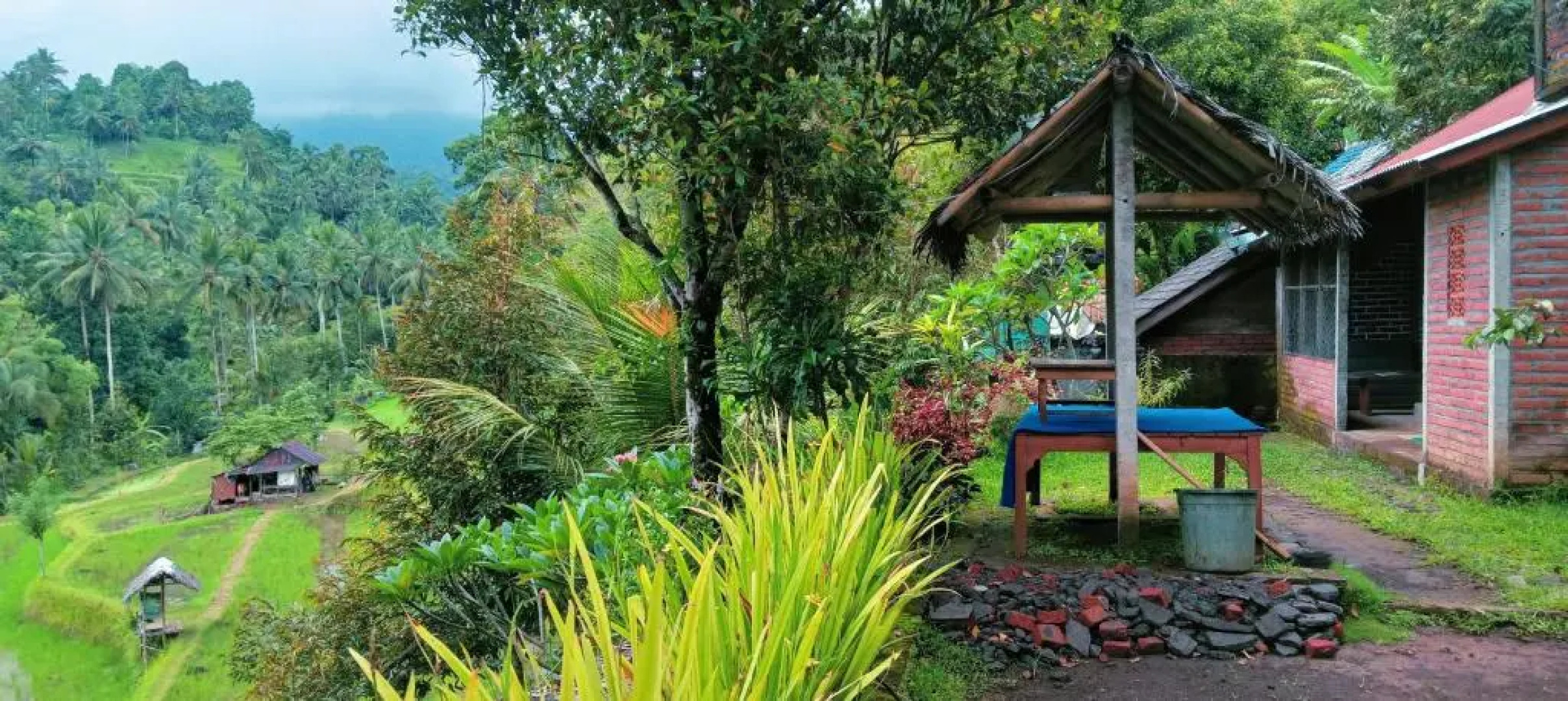 Buda's Homestay Lemukih