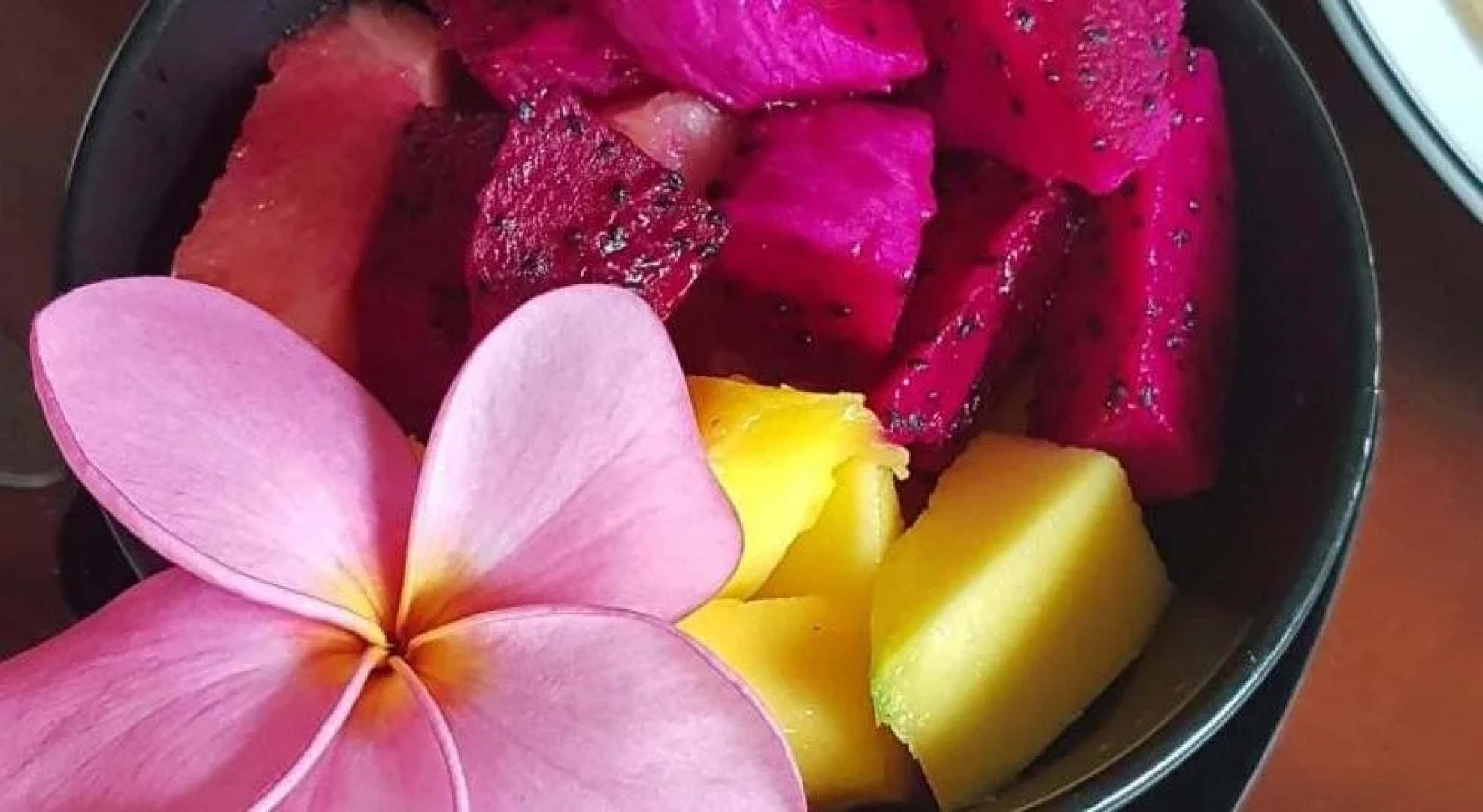 Little Elephant Cottage