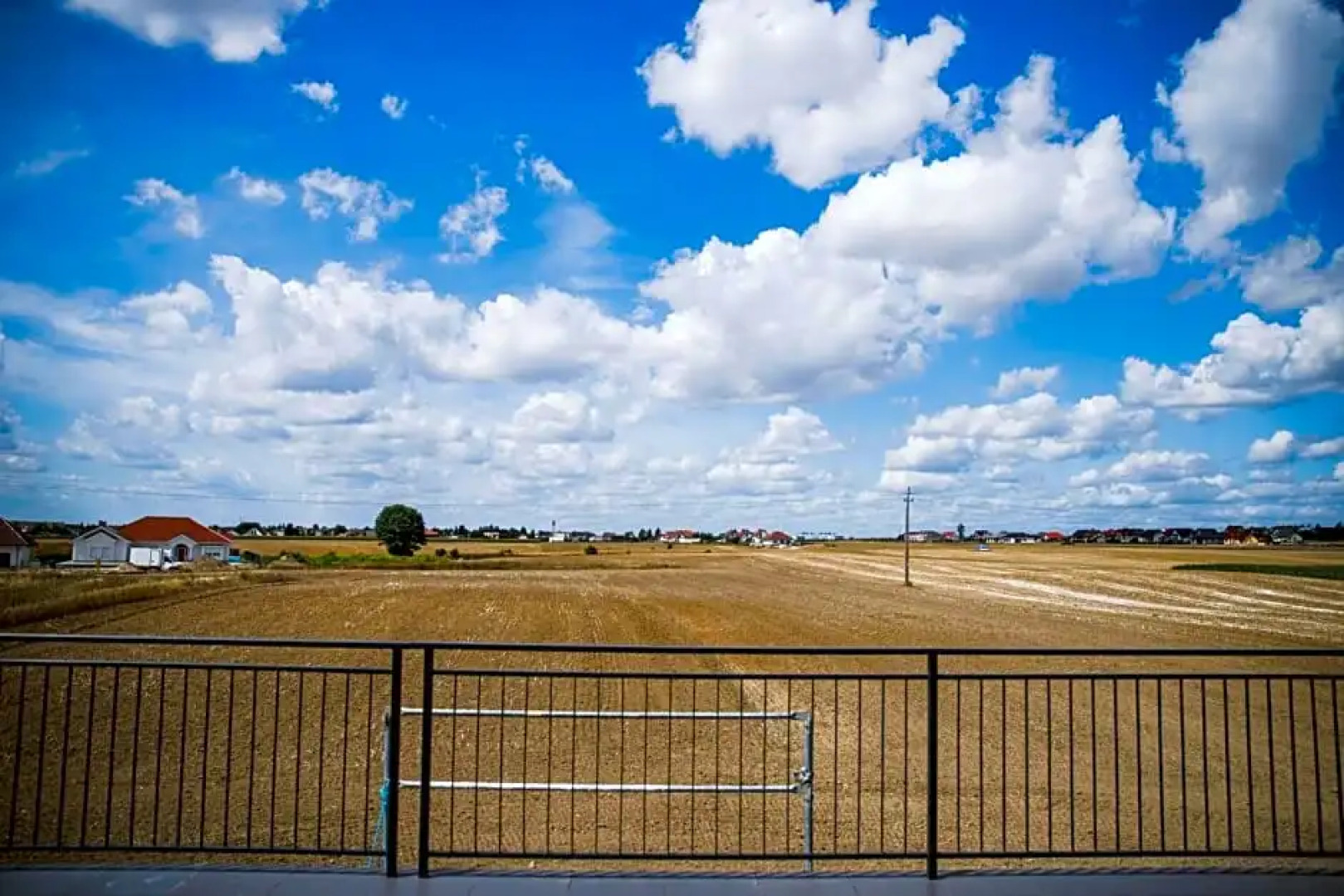 Art Cafe Cafe & Restaurant