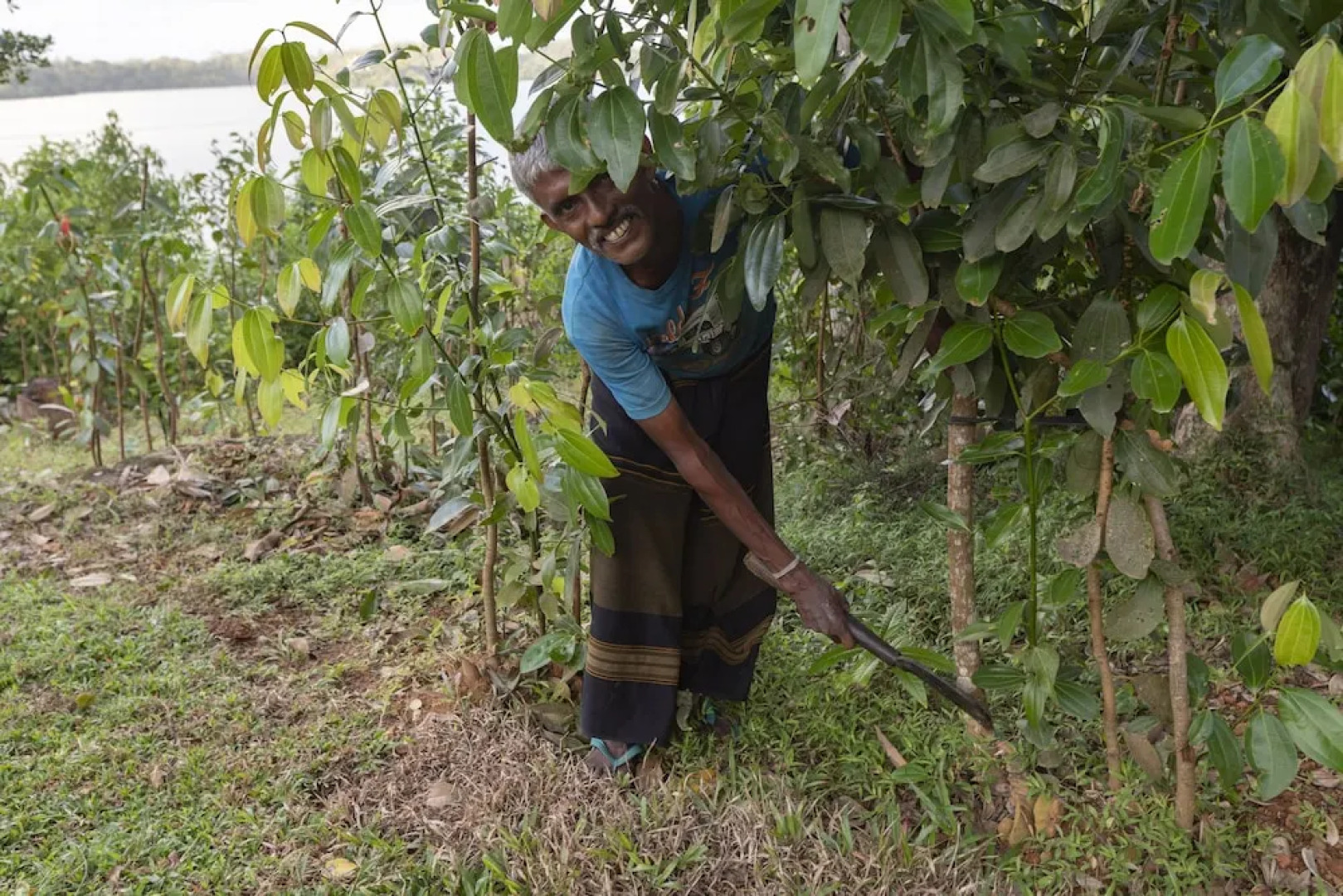 Serendipity Lake - Hikkaduwa