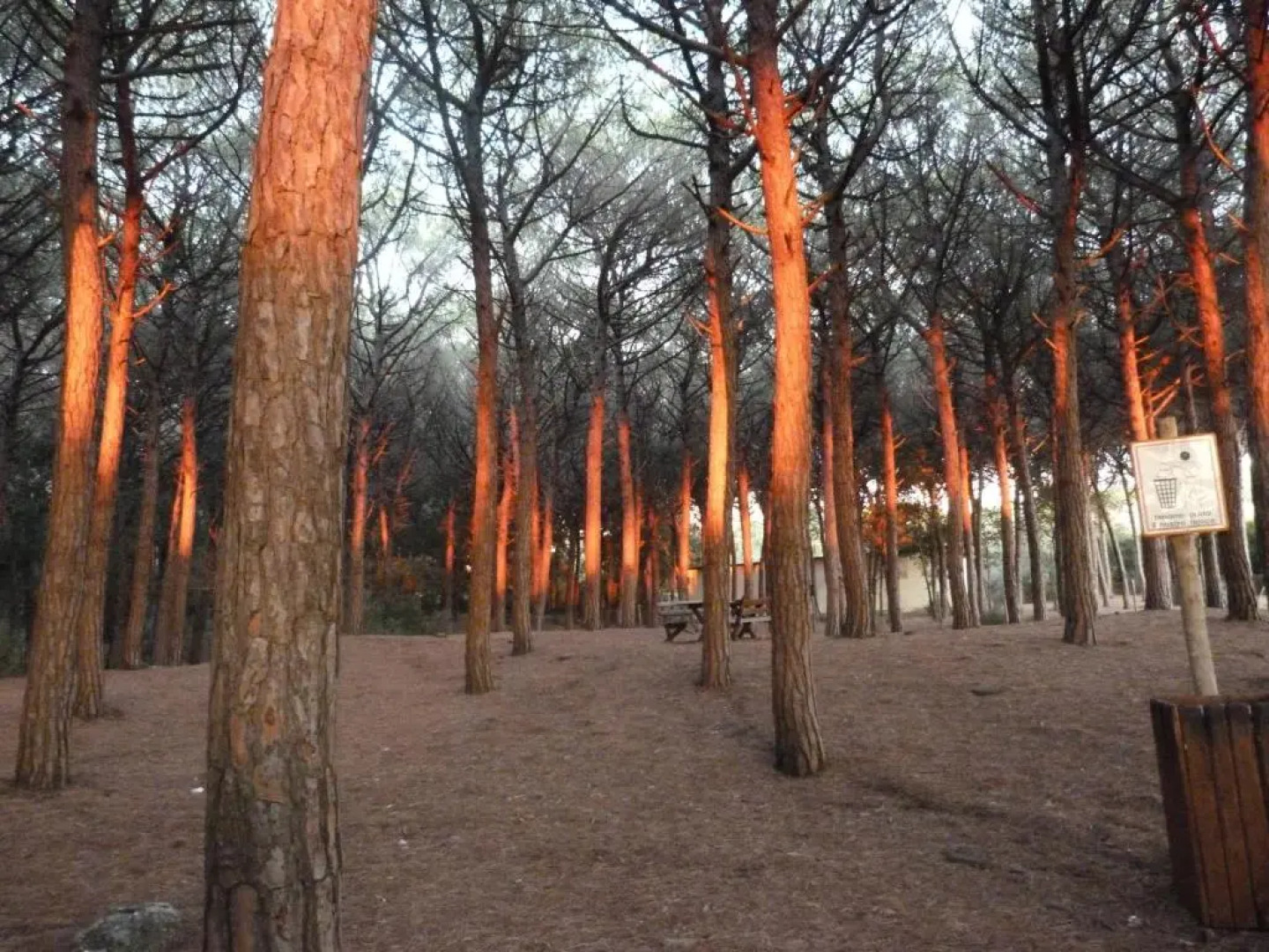 Albergo Lampara 2015