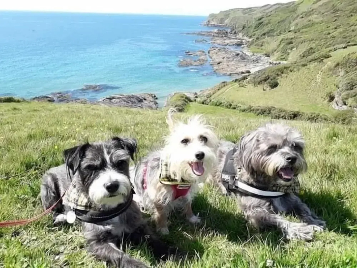 Cowshed Cottage Located nr Kynance Cove