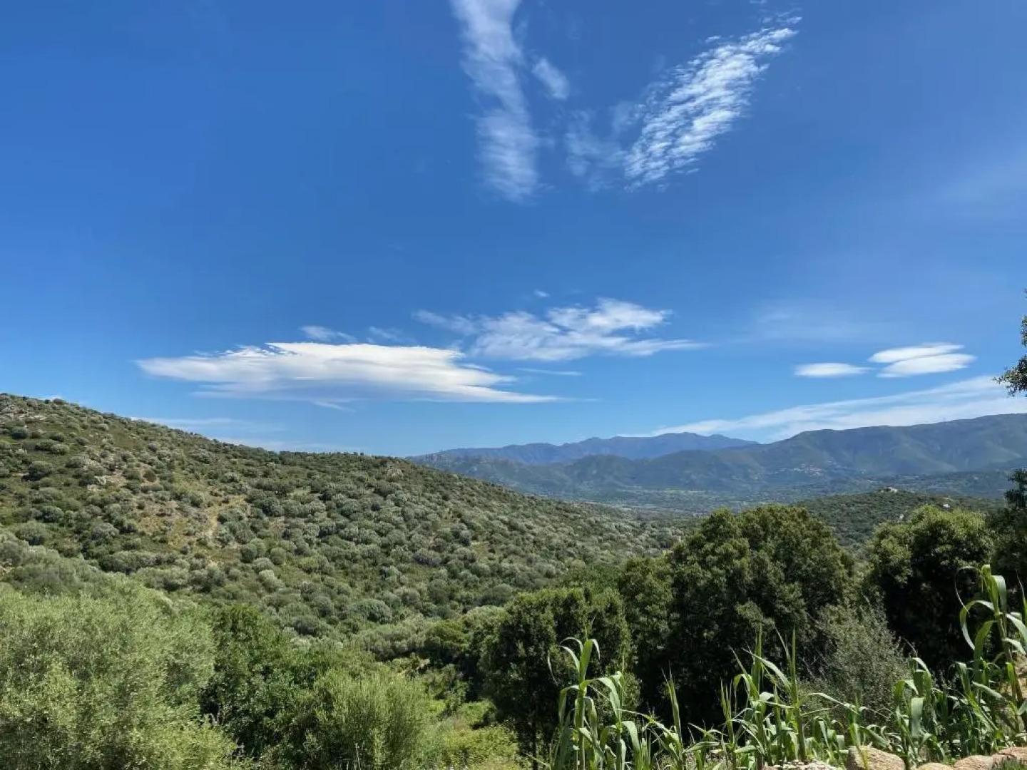 U Fondale, charmant T2, climatisé a 10 minutes des plages