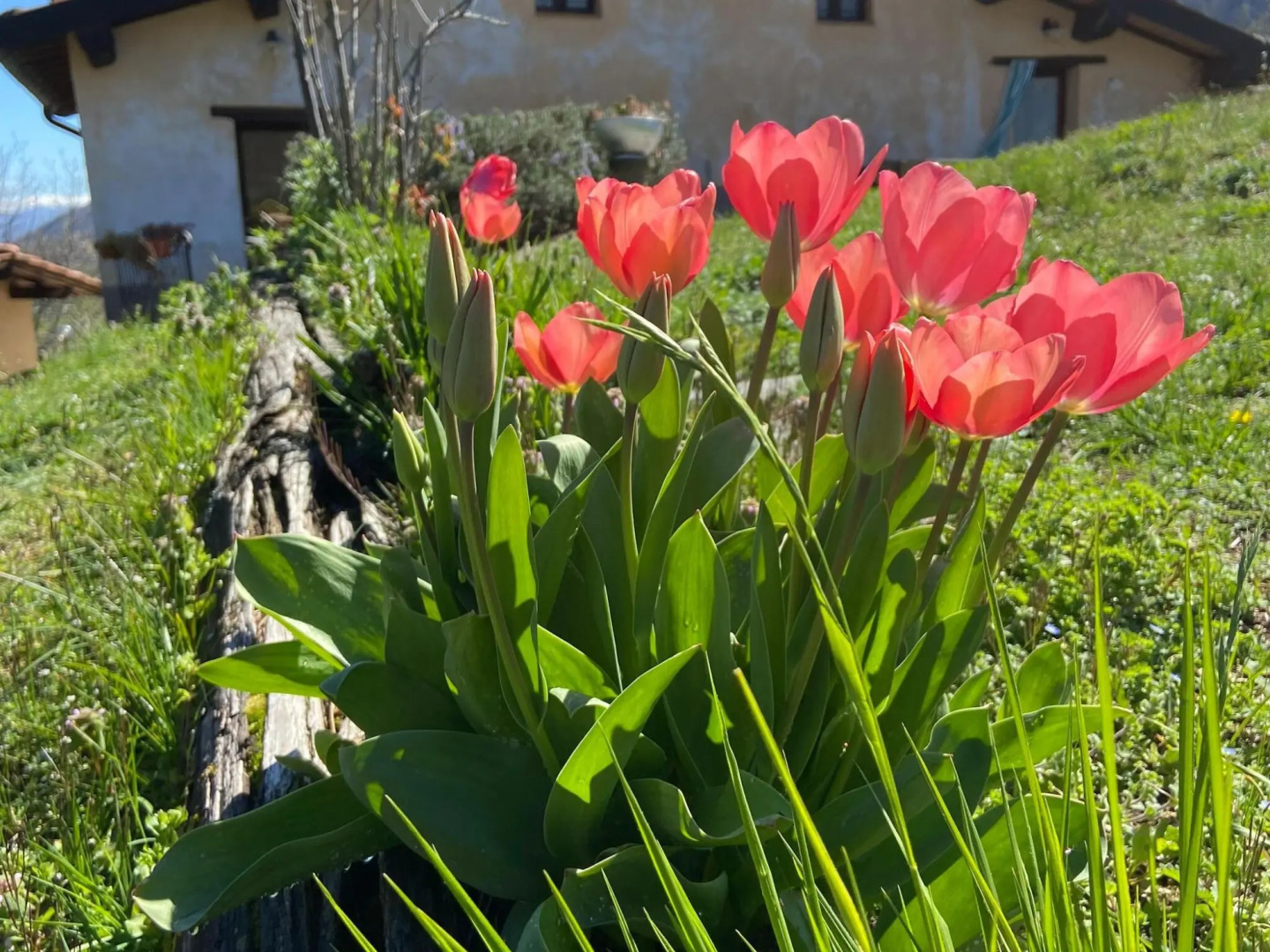 Graceful Cottage in Vergemoli with Private Fenced Garden